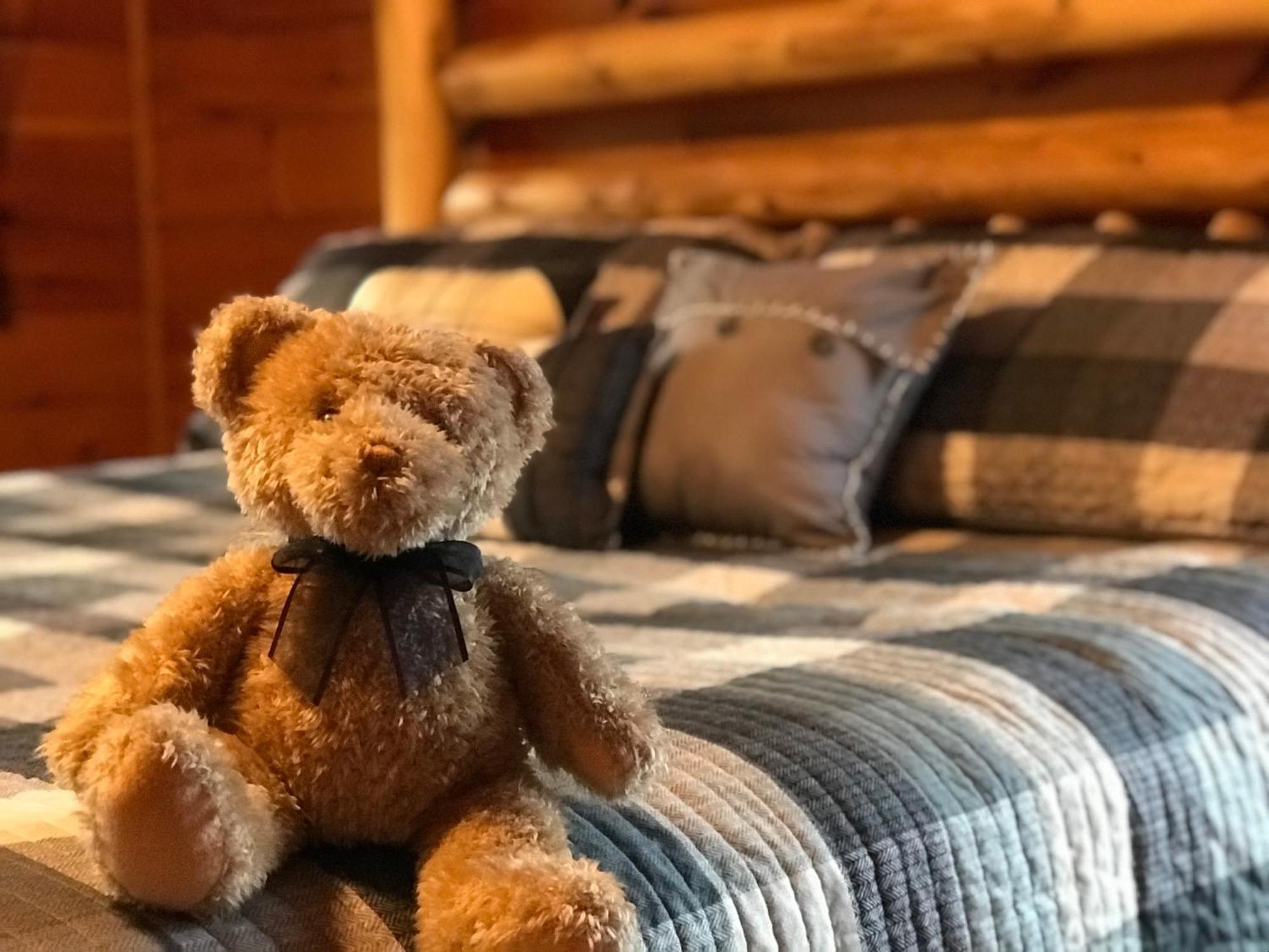 Black Bear Cove ガトリンバーグ エクステリア 写真